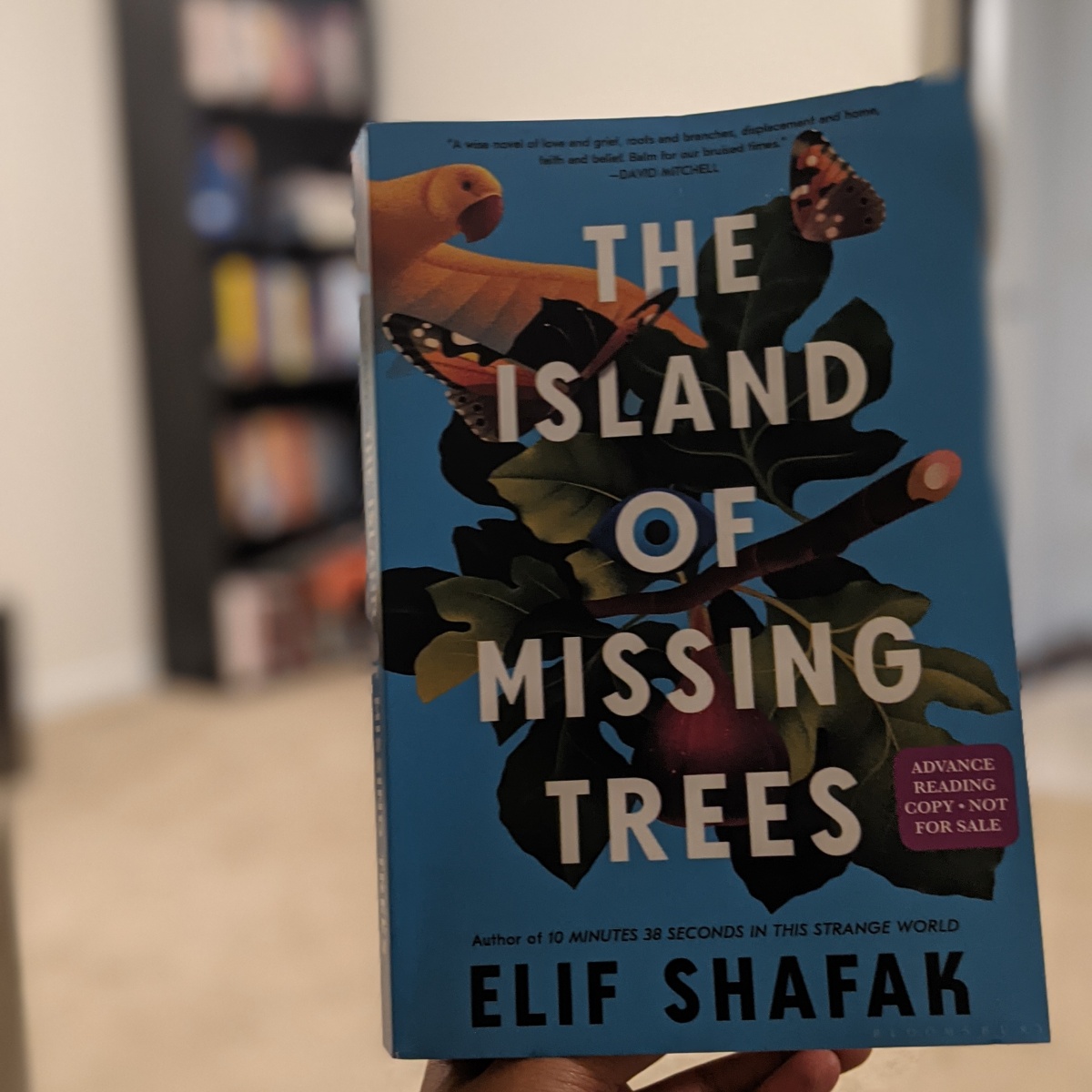 The Island of Missing Trees by Elif Shafak – Book Review